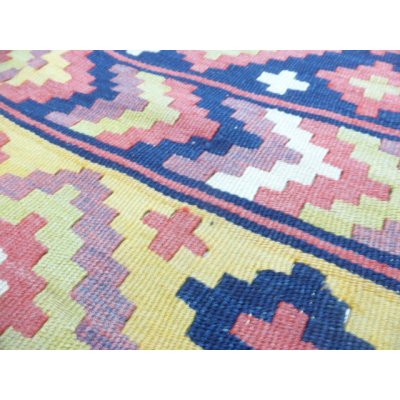 画像10: オールドキリム 　イランの草木染め　特大サイズ　5.2㎡　310 ×168 cm